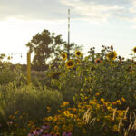 banquet solidaire (1.2)