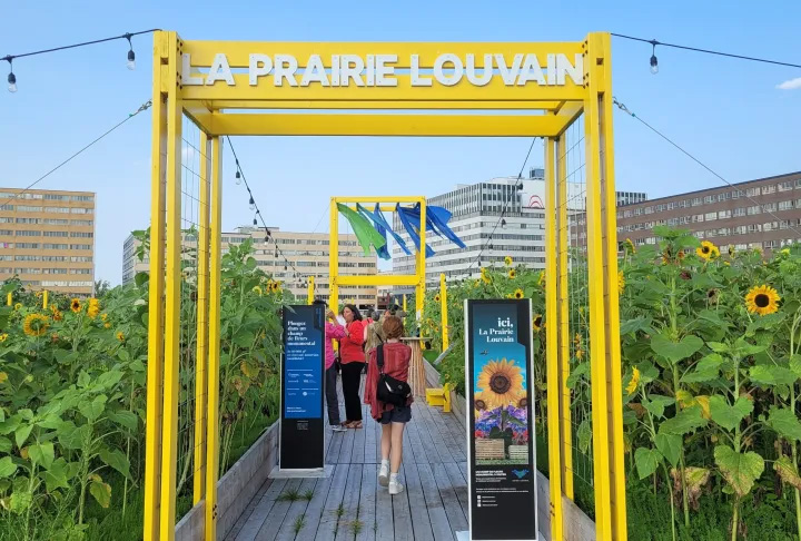 prairie louvain