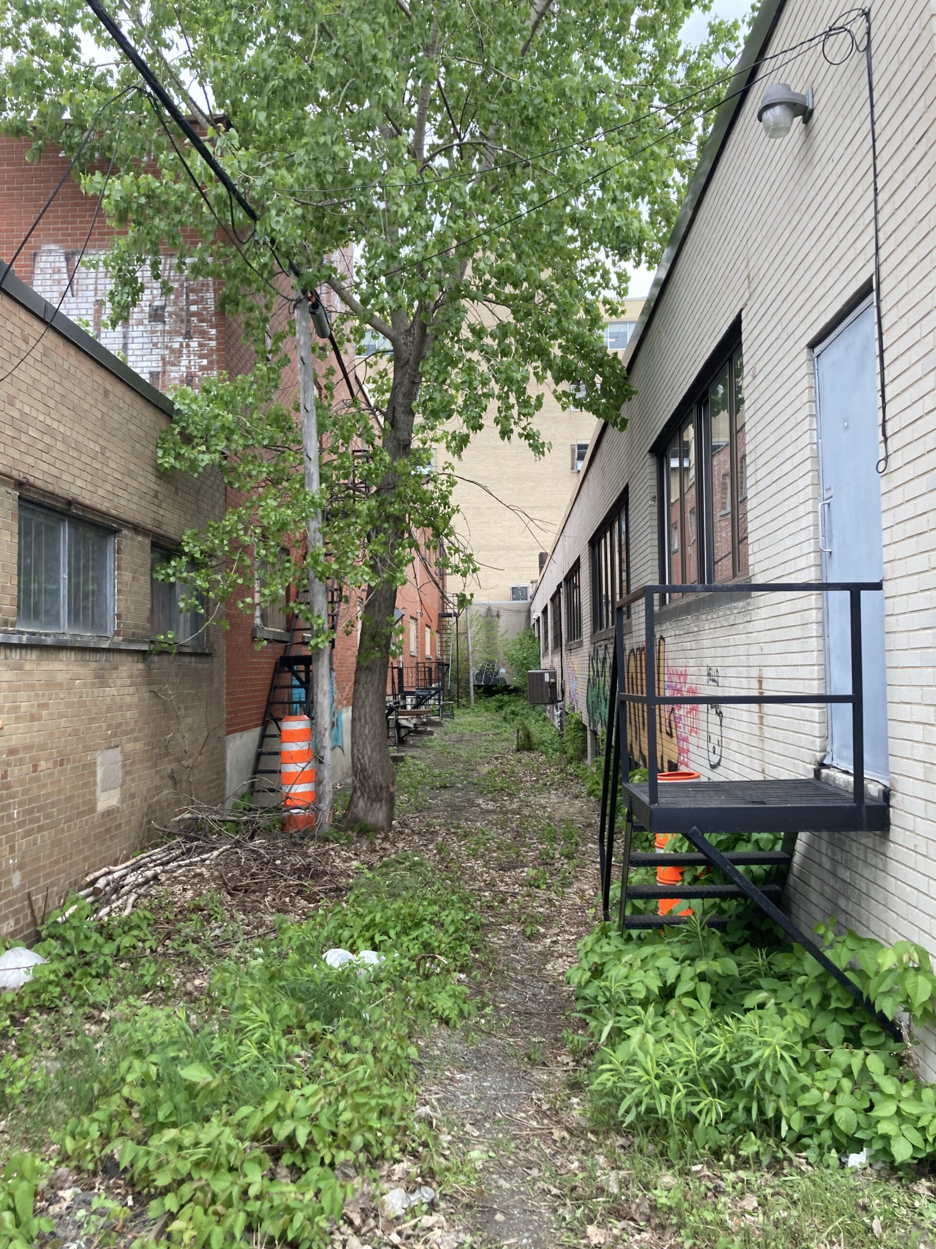 On Port-Royal Street West, a laneway will be transformed into a relaxation space in summer 2026, thanks to two neighbouring businesses.