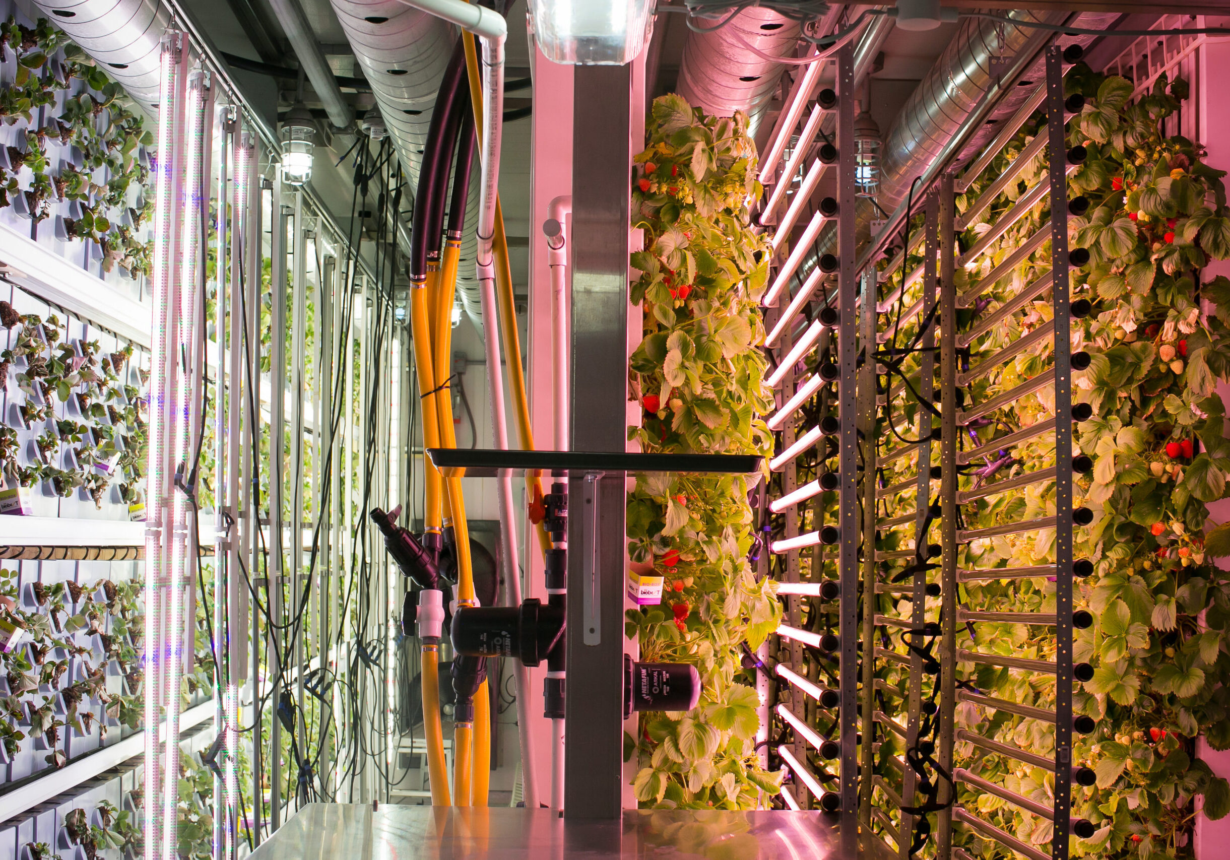 jpgHR-vertite-lab-april2021-146